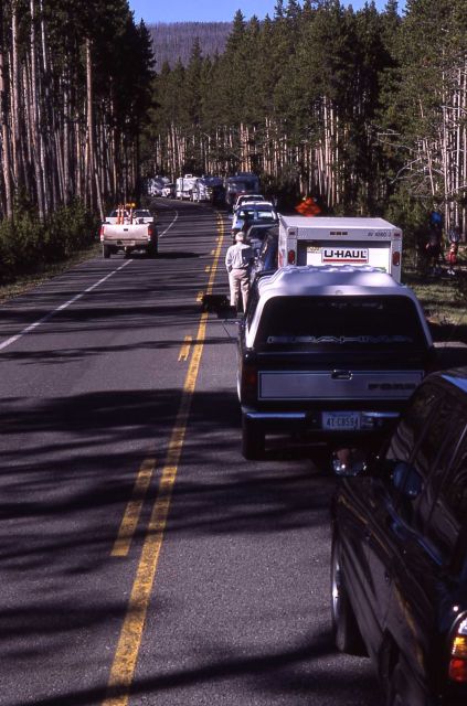 Vehicles waiting for road to open in Gibbon Canyon Picture