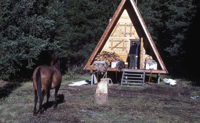 Cabin Creek patrol cabin Picture