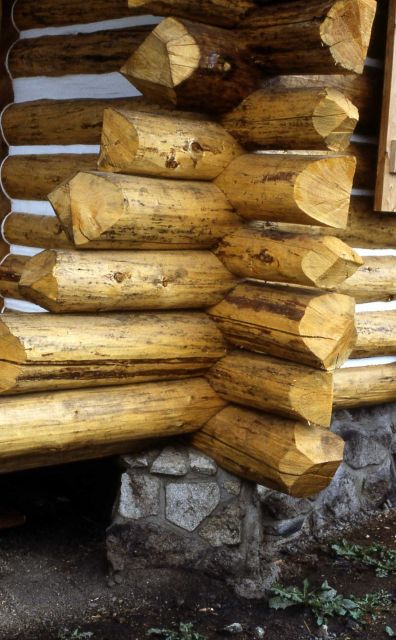 Corner of the Sportsman Lake patrol cabin Picture