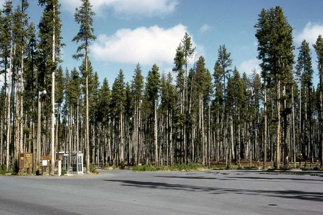 Grant Village after closure for the season (note phone booth) Picture