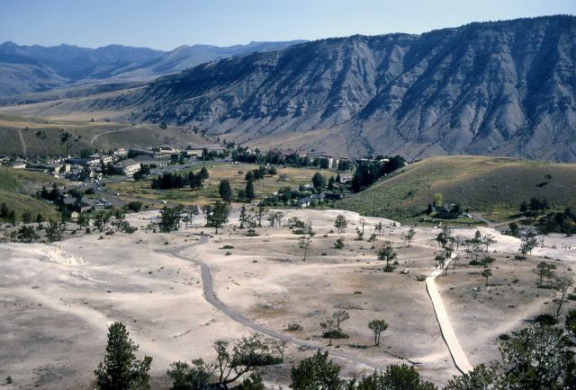 Mammoth Hot Springs as seen from Terrace Drive Picture