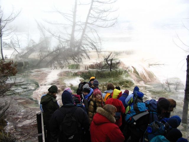 Cate Splane with Expedition Yellowstone! group viewing Canary Spring at Mammoth Terraces Picture