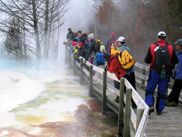 Kevin Topping with Expedition Yellowstone! group viewing Canary Spring at Mammoth Terraces Picture