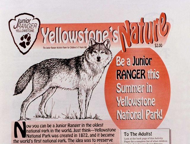 Junior Ranger activity paper (for ages 5-7 years old) Picture
