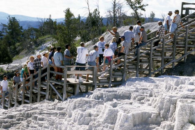 Roger Wilson leading an interpretive walk on Mammoth Terraces Picture