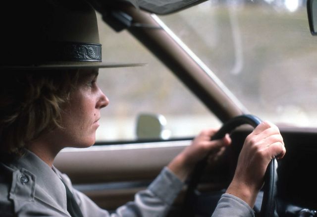 Park ranger on road patrol Picture