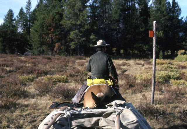 National Park Service Ranger Roger Rudolph on a trip from Thorofare to Fox Creek Picture