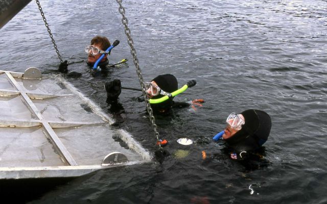 Wes Miles, Rick Mossman & Gary Nelson diving in Yellowstone Lake to collect silica spires Picture