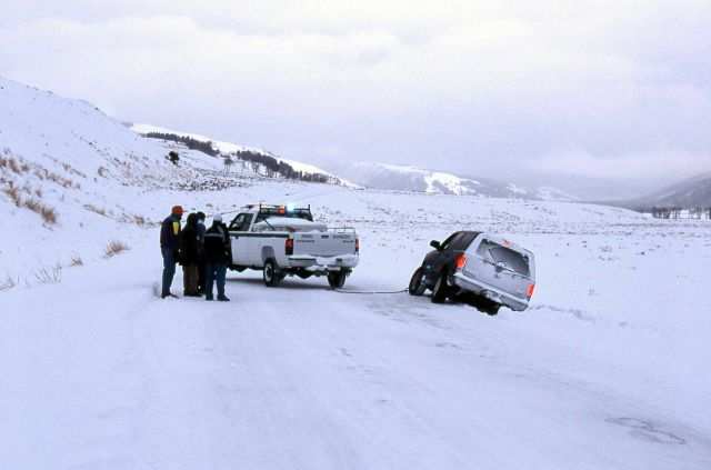 National Park Service Ranger assisting with a car off road in Lamar Valley in the winter Picture