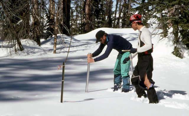 Dave Long & Ranger Brian Chan measuring snow depth at Parker Peak snotel site Picture