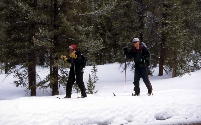 Yellowstone Association/Yellowstone Institute Winter Wonderland employee Mark Williams skiing on the Lone Star trail Picture