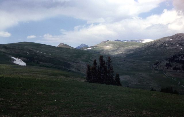 High mountain meadow Picture