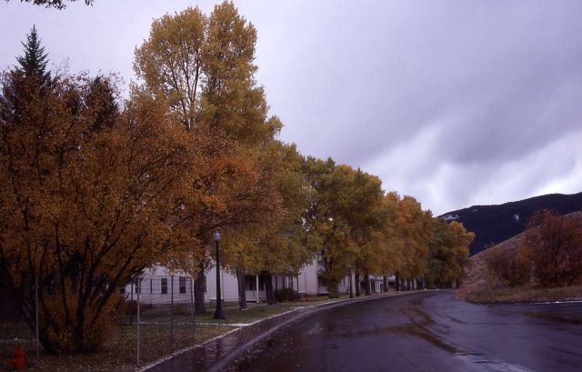 Officer's row in with fall colors Picture