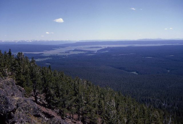 Hayden Valley from Observation Peak - Absaroka & Red Mountain Ranges Picture