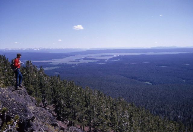 Hayden Valley from Observation Peak - Absaroka & Red Mountain Ranges Picture