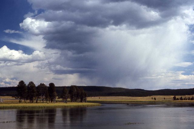 Hayden Valley - Yellowstone River Picture