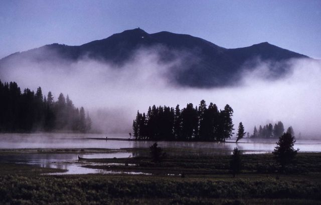 Hayden Valley - Mt Washburn Picture