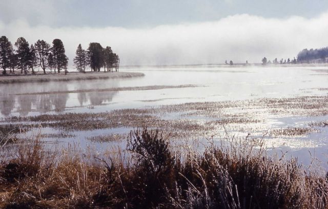 Hayden Valley - Yellowstone River Picture