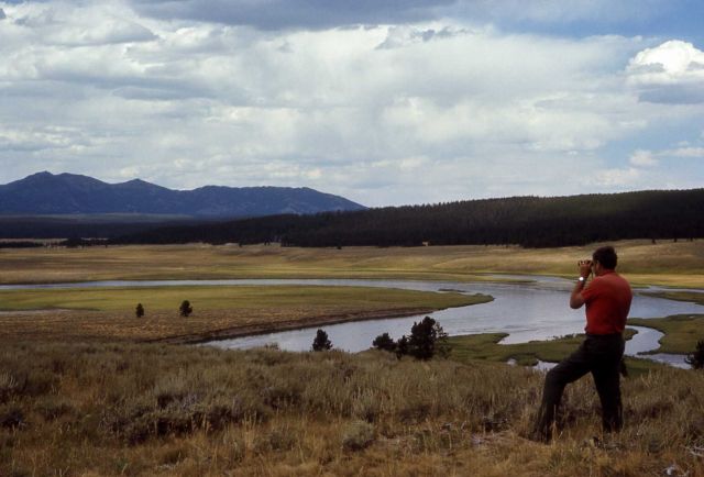 Hayden Valley - Yellowstone River & Washburn Range Picture