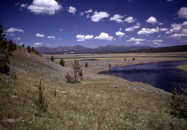 Hayden Valley - Yellowstone River & Washburn Range Picture