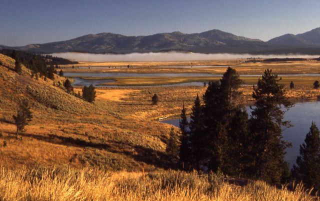 Hayden Valley - Yellowstone River & Washburn Range Picture