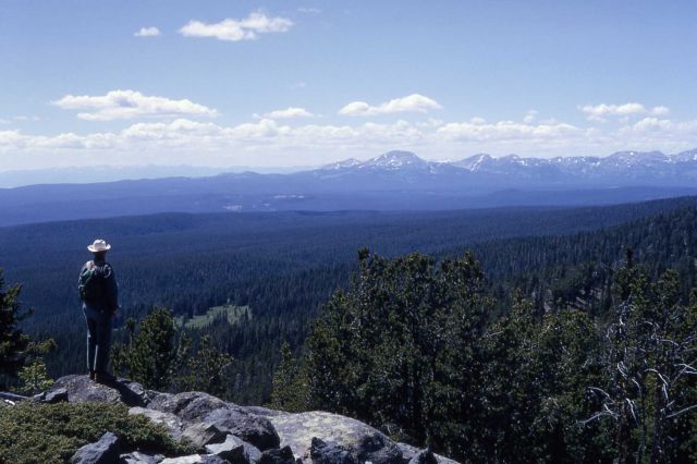 Central plateau from Observation Peak - Gallatin Range Picture