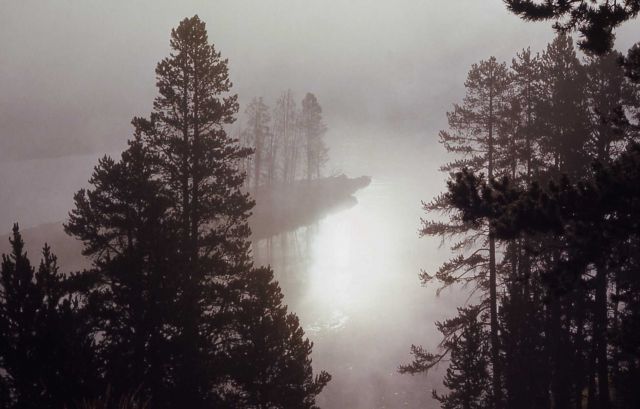 Yellowstone River (in Hayden Valley) in mist Picture
