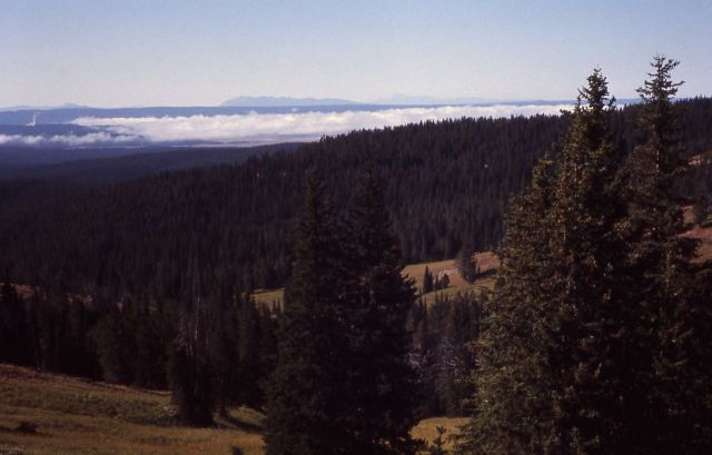Hayden Valley in fog - taken from Dunraven Pass - Red Mountains & Teton Range Picture