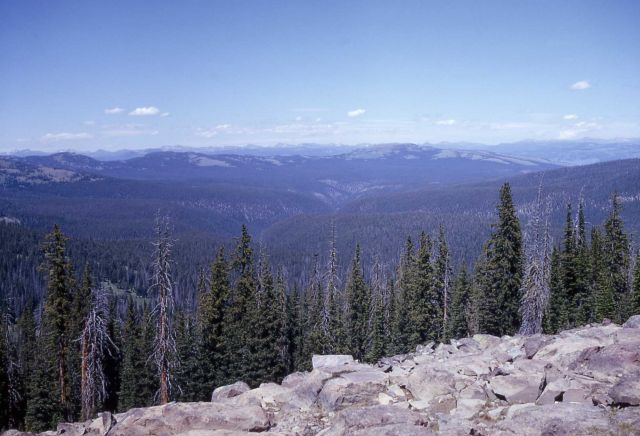 View north from Observation Peak - Tower Creek Drainage Picture