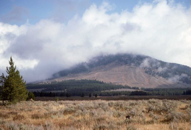 Bunsen Peak - Swan Lake Flats Picture