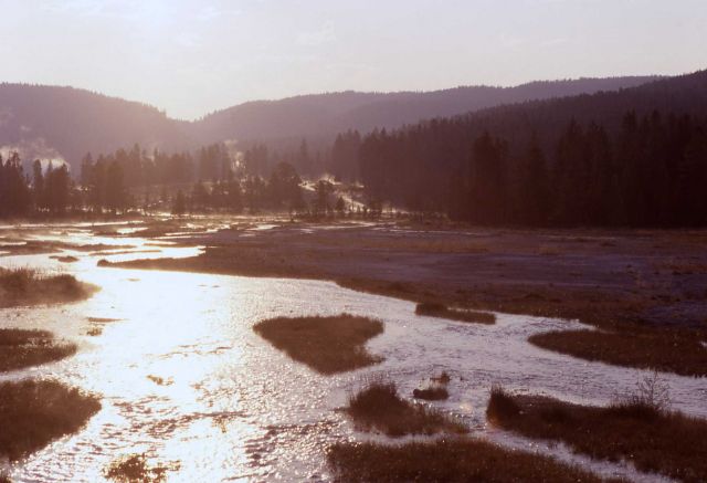 Tangled Creek - off of Firehole Drive Picture