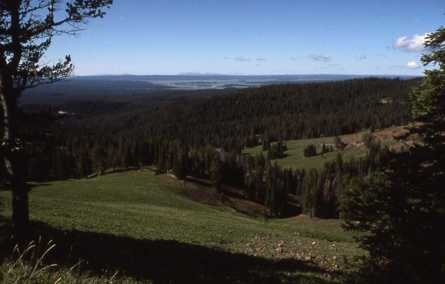 Hayden Valley from Dunraven Pass - Red Mtns. in distance Picture