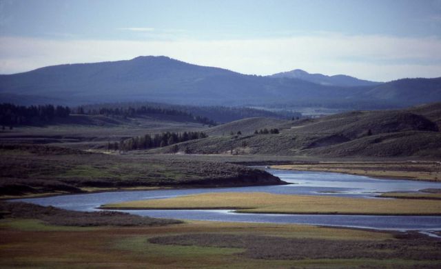 Hayden Valley - Yellowstone River & Washburn Range Picture