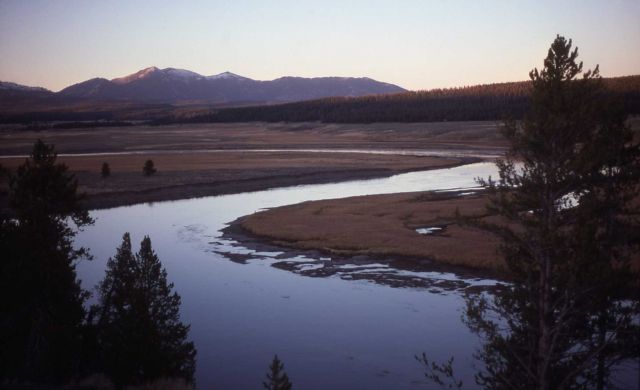 Hayden Valley - Yellowstone River & Washburn Range Picture