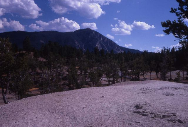 Bunsen Peak fro upper terraces Picture