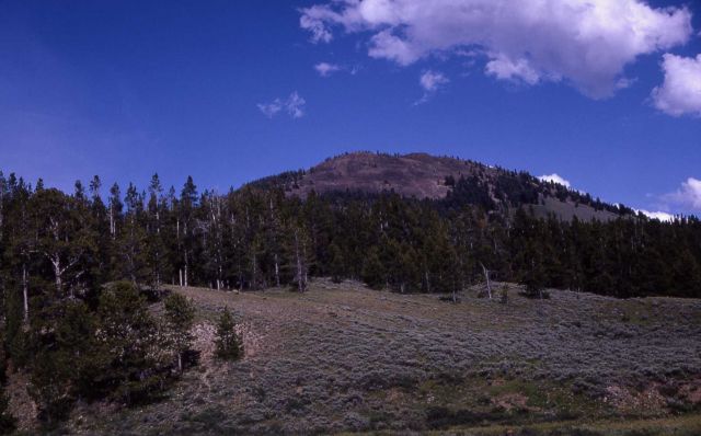 Bunsen Peak Picture