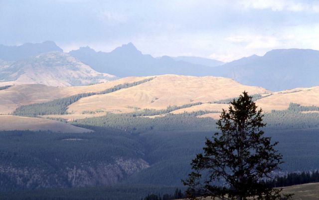 Specimen Ridge as seen from Mt Washburn - Index & Pilot Peaks Picture