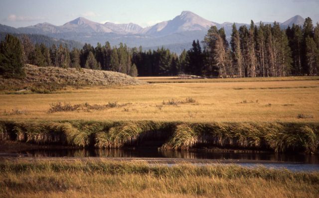 Pelican Valley & the Absaroka Range Picture