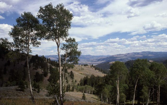 Specimen Range near Tower Picture