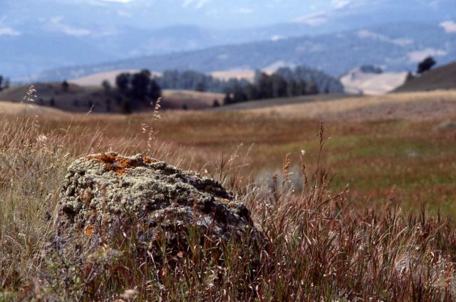Blacktail Plateau Picture