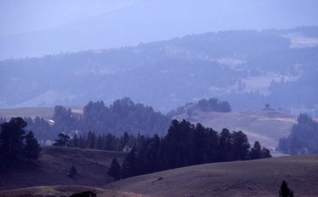 Blacktail Plateau Picture