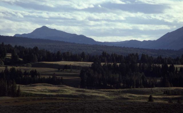 Blacktail Plateau & Mt Holmes Picture
