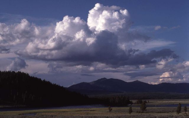 Mt Wahburn as seen from Hayden Valley Picture