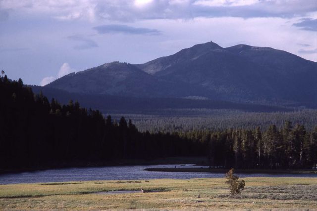 Mt Washburn & the Yellowstone River as seen from Hayden Valley Picture