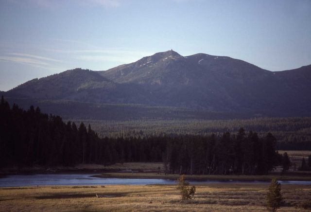 Mt Washburn & the Yellowstone River as seen from Hayden Valley Picture