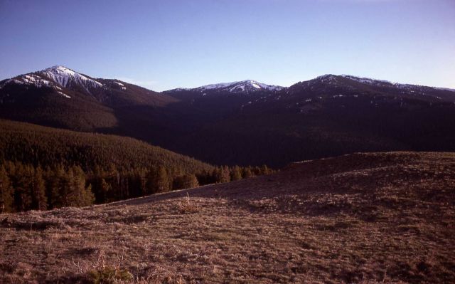 Hedges Peak as seen from Mt Washburn Picture