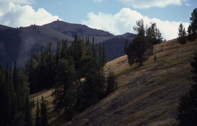 Mt Washburn Picture
