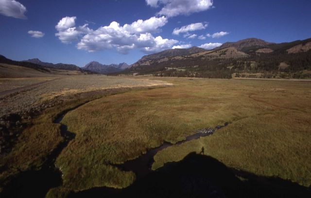 View of Barronette Peak, Abiathar Peak., Amphitheater Mountain, & The Thunderer as seen from Soda Butte Picture