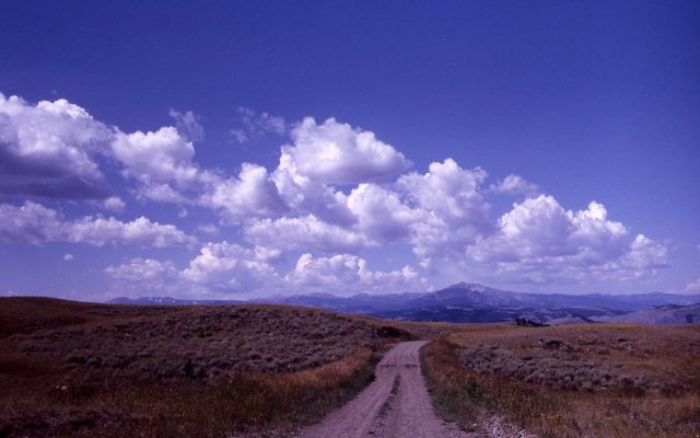 Looking west on Blacktail Plateau Drive - Gallatin Range Picture