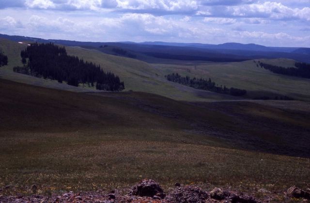High meadows & Specimen Ridge Picture